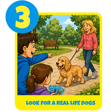 How to play, step 3