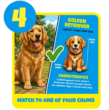 How to play, step 4